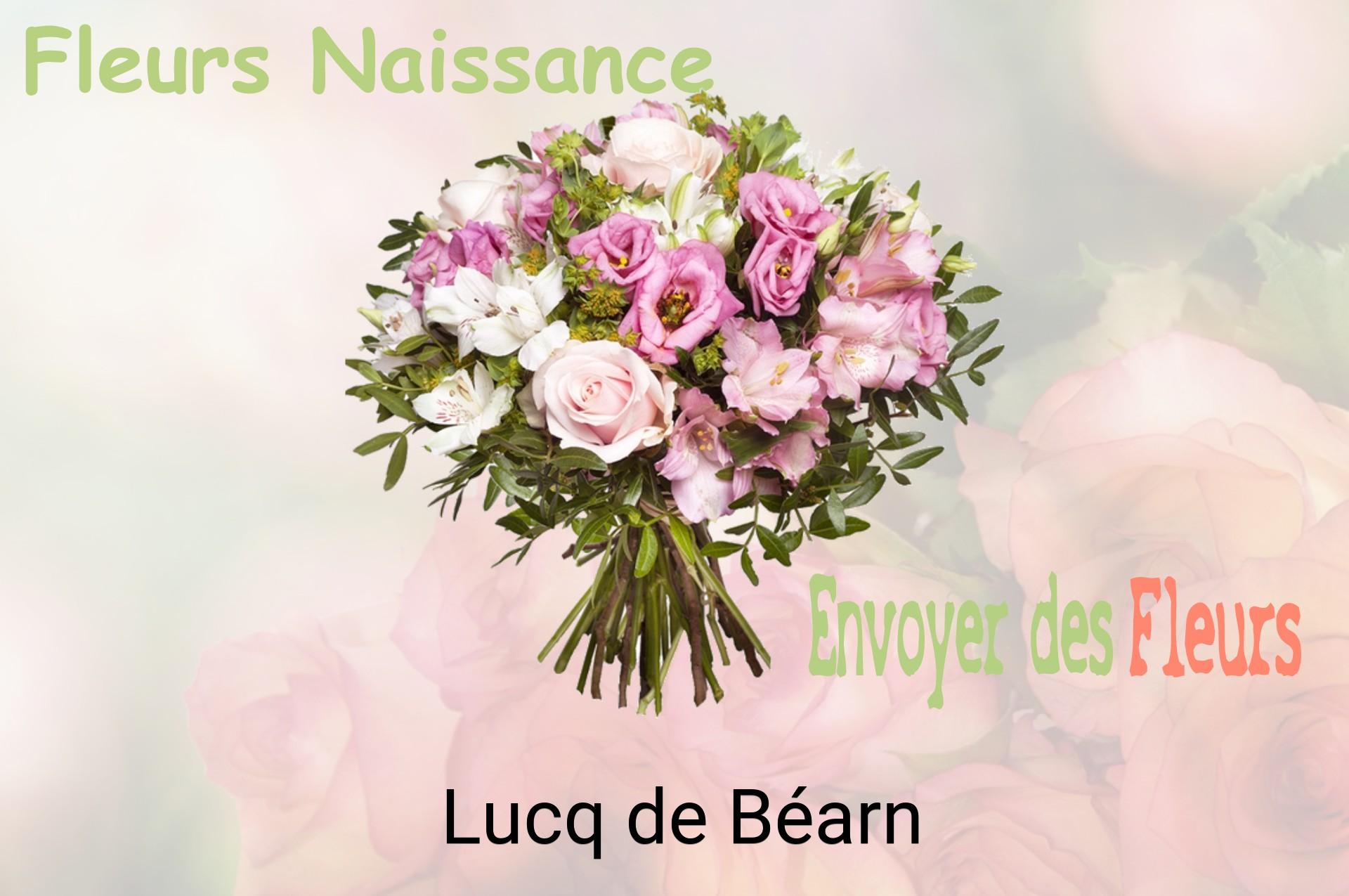 Bouquet de fleurs de naissance livré à Lucq-de-Béarn